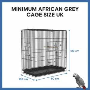 Diagram showing the minimum African Grey parrot cage size in centimetres for width, depth, and height.