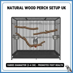 Internal view of a large parrot cage with varied diameter natural wood perches to encourage foot health.