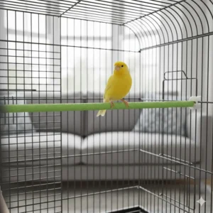 Detail of the green multi-grip perches included with Vision cages to promote foot health for canaries and finches.