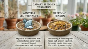 A comparative infographic showing the difference between a high-fat winter maintenance canary seed mix and a high-protein breeding season blend.