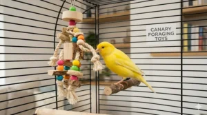 A small foraging toy designed for canaries to encourage natural pecking and activity.