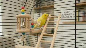 A small wooden ladder toy for canaries, promoting movement and agility inside the cage.