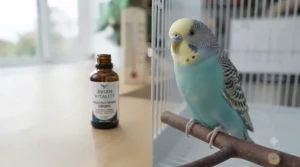 A measuring dropper dispensing correct daily portions of bird multivitamin drops for safe pet care