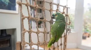 A large rope climbing net installed in a bird cage, encouraging physical activity for Amazon parrots.