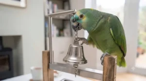 A heavy-duty stainless steel bell toy, perfect for curious and noise-loving Amazon parrots.