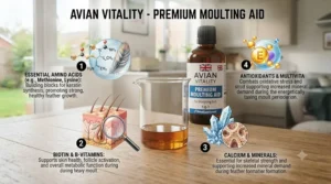Infographic outlining key ingredients in a vitamin supplement for moulting birds, including calcium, amino acids, and multivitamins.