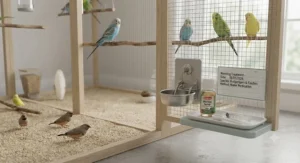 A clean UK aviary setup showing multiple birds receiving routine anti-parasite care.