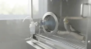 Clear acrylic side panel featuring a silicone oxygen and nebuliser therapy inlet valve on a parrot recovery unit.