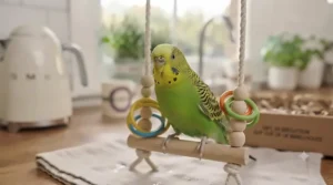 A vibrant green Budgerigar (parakeet) sitting happily on a clean, sanitised wooden swing, surrounded by freshly washed colourful plastic rings.[cite: 9]
